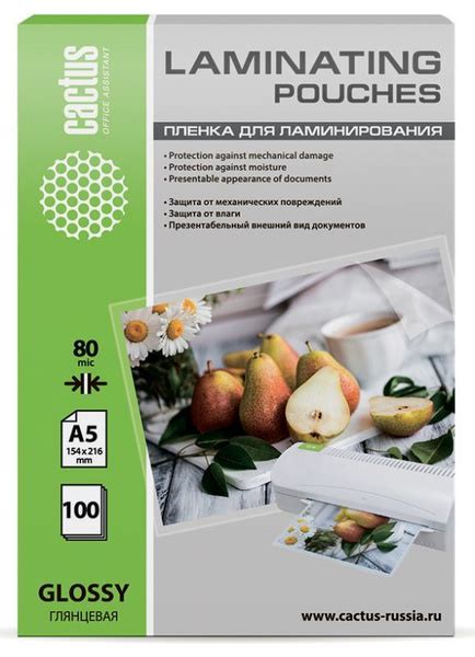 Пленка для ламинирования 100шт Cactus 80мкм, A5, глянцевая, 154x216мм ...