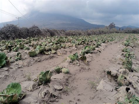 Fertile Soil Volcano