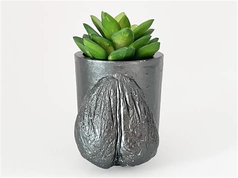 Ball Planter Nude Penis Pot Testicle Planter Succulent Eco Friendly Cup Pencil Pen Holder Etsy