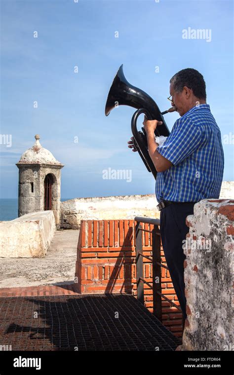 Man Playing Tuba Hi Res Stock Photography And Images Alamy