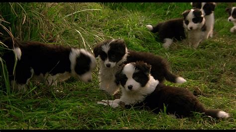 Babe Screencap Fancaps