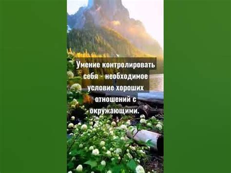 Цитаты из книг. Искусство жить просто. Доминик Лоро. Стр 224 # ...
