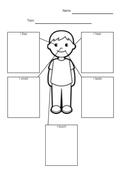 5 Senses Graphic Organizer Template Edrawmax Templates