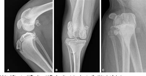 Figure 4 From Patellar Luxation In Dogs Semantic Scholar