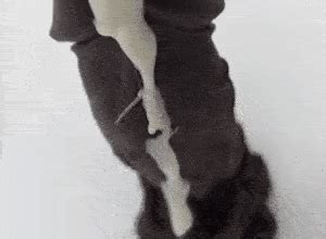 shop ge სექს შოპი Sex Shop სექს სათამაშოები