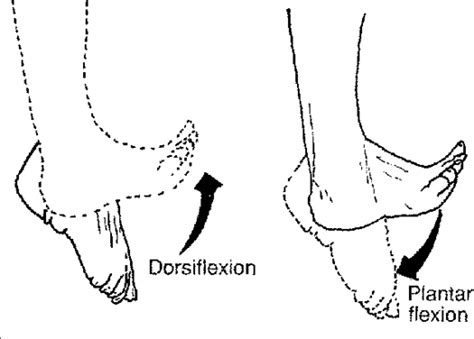 Kinetic Health Calgary Shin Splints Symptoms Causes Diagnosis