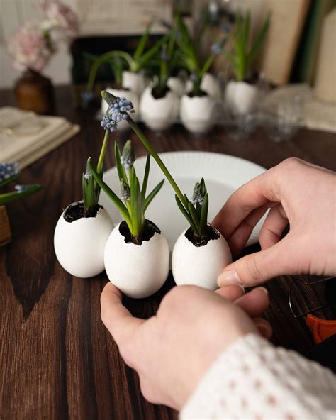An Eco-Friendly Easter Craft – Fable England UK
