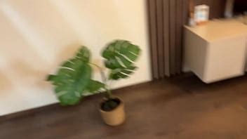 Pixie Bebe Pis Y Recibe Una Lluvia Dorada Edici N Halloween Xvideos