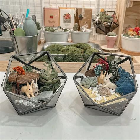 Best Terrarium Workshops In Singapore In Seek Sophie