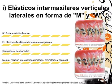 Uso de elásticos y elastómeros en Ortodoncia PPT