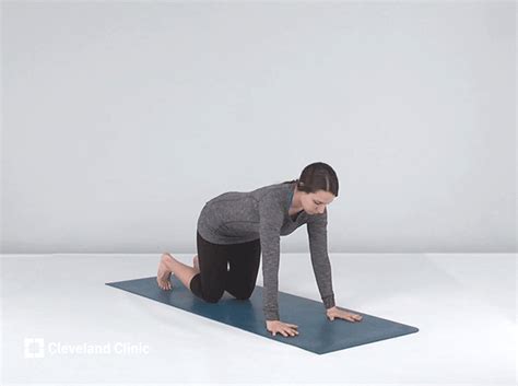 Yoga Poses That Can Strengthen Your Core Muscles Health Essentials