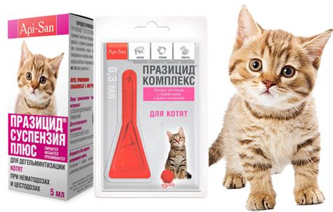 Празицид суспензия плюс для кошек: инструкция и отзывы о препарате