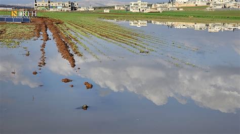 أمطار وسيول تتسبب بأضرار للمزارعين بريفي حلب وإدلب