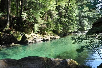 Widgeon Lake Trail - Pinecone Burke Provincial Park