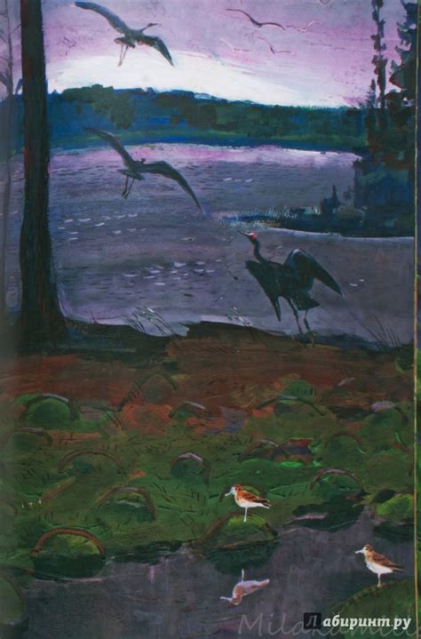 Книга: Осень в лесу - Иван Соколов-Микитов. Купить книгу, читать ...