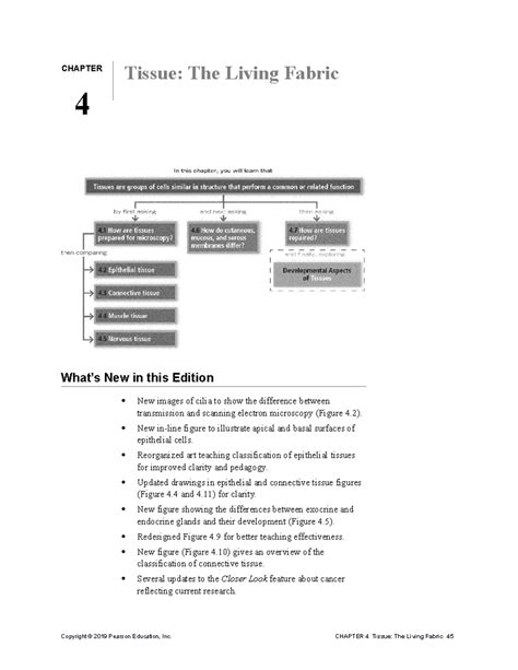 Instructor Guide for Human Anatomy and Physiology (11e): Chapter 4