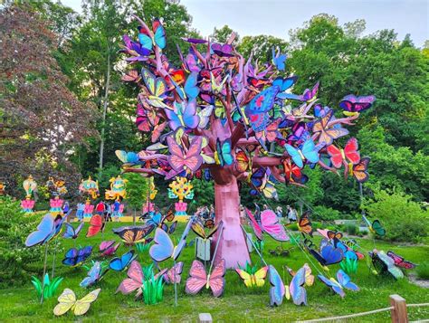 John Ball Zoo Lantern Festival: A Dazzling Celebration of Wildlife and ...
