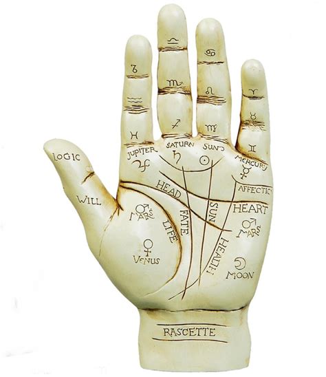 Palmist Top Palmist Famous Palmist Expert Palmist Scietific Palmist