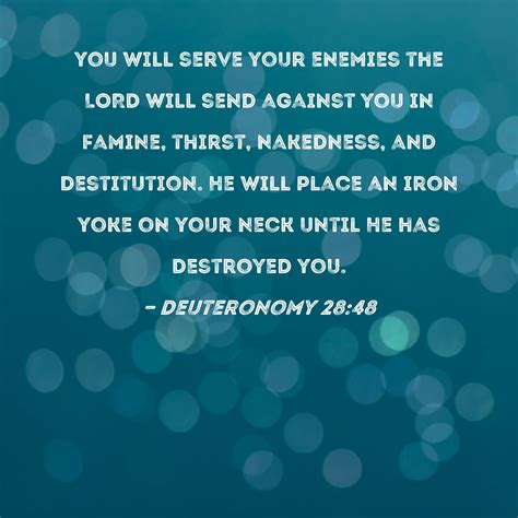 Deuteronomy 28:48 you will serve your enemies the LORD will send