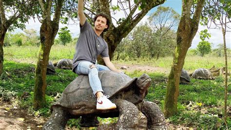 El Paraíso De Las Tortugas Gigantes Islas Galápagos 🐢 Youtube