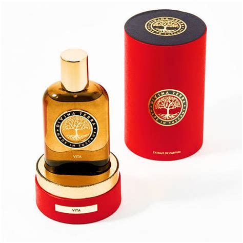 Купить DiVina Terra Vita extrait de parfum 100 мл, цена 13898 ₴ — Prom ...