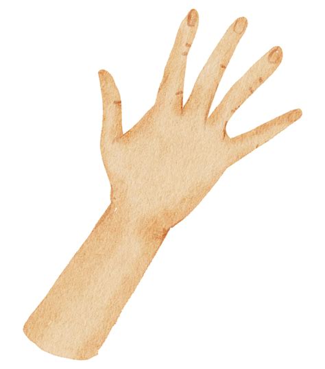 Watercolor Hands Gesture 10249289 Png