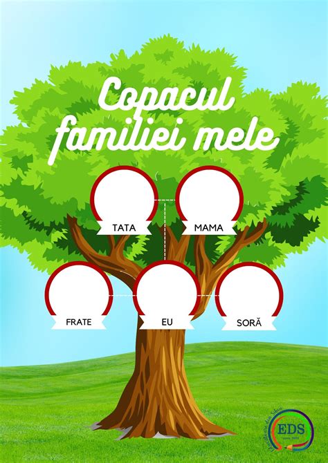 Family Tree Worksheets | Family tree worksheet, Family tree