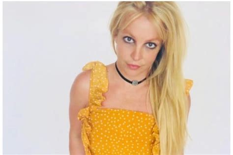 Britney Spears Alleges Her Security Could See Her Change Naked During