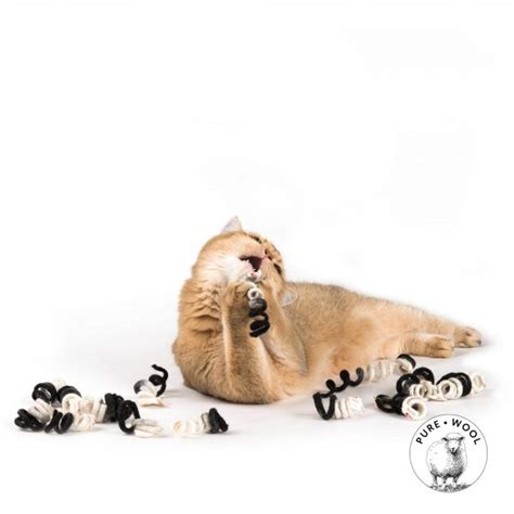 Katzenspielzeug TWISTER – allypet.de