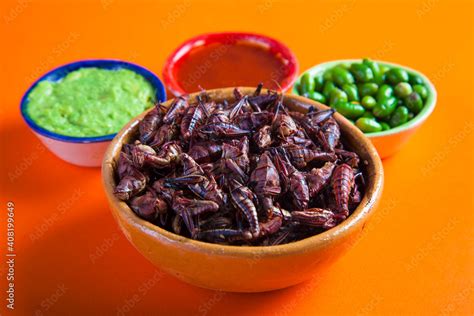 Grasshoppers Chapulines Snack Traditional Mexican Food Stock Photo