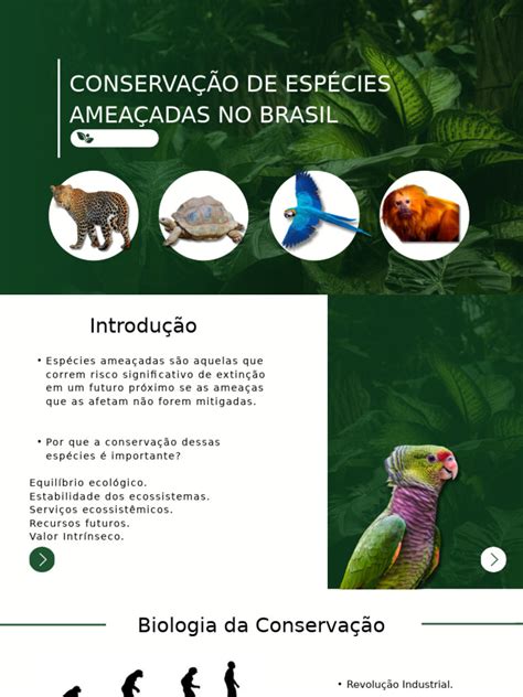 Esses Organismos Devem Ser Preservados Porque
