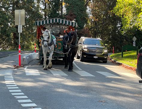 Stanley Park Bike Lane Yay Or Nay Survey Asks About Moving Through