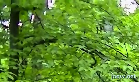 Jerk Off Tryout In Gay Solo