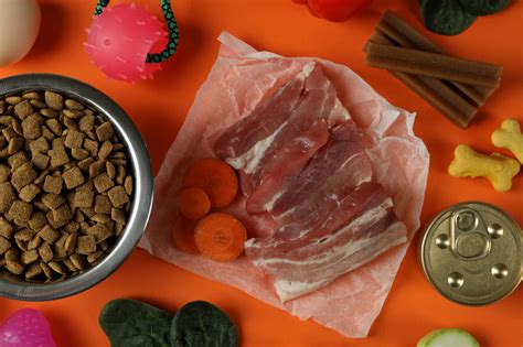 Make Vet-Approved Homemade Dog Food: A Complete Recipe Guide