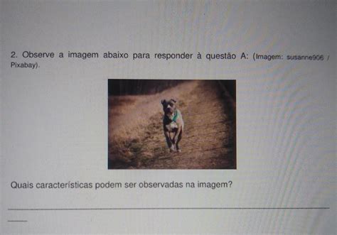 Observe A Imagem Para Responder à Questão