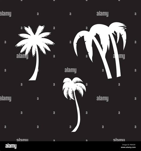 Ilustraci N Vectorial Silueta Blanca De Palmeras Conjunto De Iconos