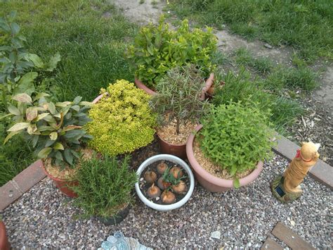 Кашпо, подвесные корзины, вазоны - Страница 2 : Дачная жизнь