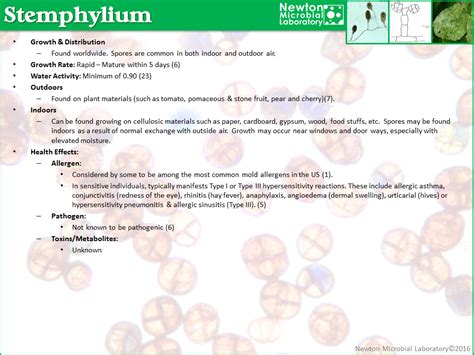 Stemphylium – Newton Microbial Laboratory