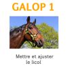 Passe Ton Galop En R Visant Et En T Amusant Galop Connaissances