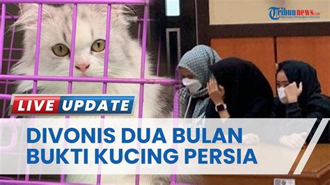 Babak Akhir Viral 3 Wanita Cekoki Miras Ke Kucing Di Padang Pelaku