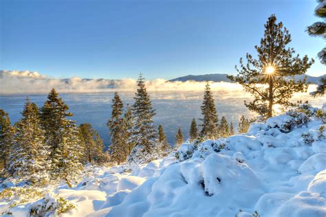 Zima Jezioro Tahoe Promienie S O Ca Drzewa Kalifornia