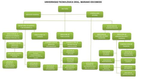 Organigrama Universidad Tecnol Gica Gral Mariano Escobedo