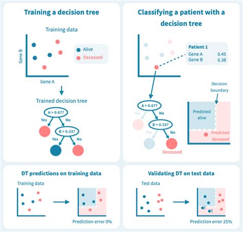 Predicting Cancer Survival With Machine Learning Genevia Technologies