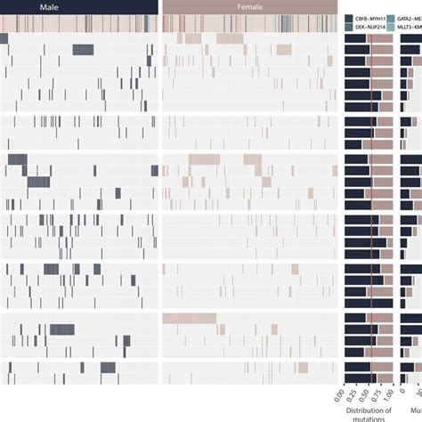 Sex‐separated Overview Of Genes Mutated In More Than 2 ≥ 10 Patients