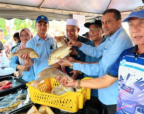 Projek Akuakultur Lkim Stabil Bekalan Ikan Tempatan Kosmo Digital