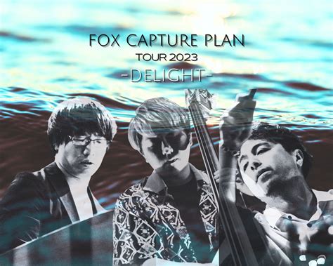 fox capture plan   delight fox capture plan