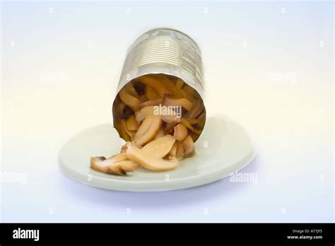 Tinned Mushrooms Hi Res Stock Photography And Images Alamy