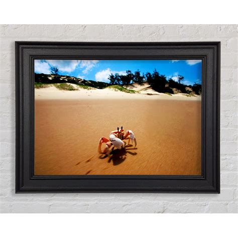 Haus Am Meer Gerahmtes Leinwandbild Crab Paradise Wayfair De