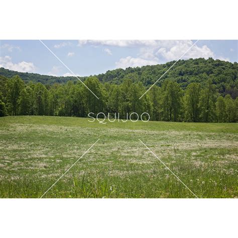 haven field digital backdrop squijoocom