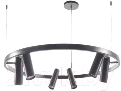Rilon Lighting Technical Light 2021-5+8 SBK Люстра купить в Минске ...